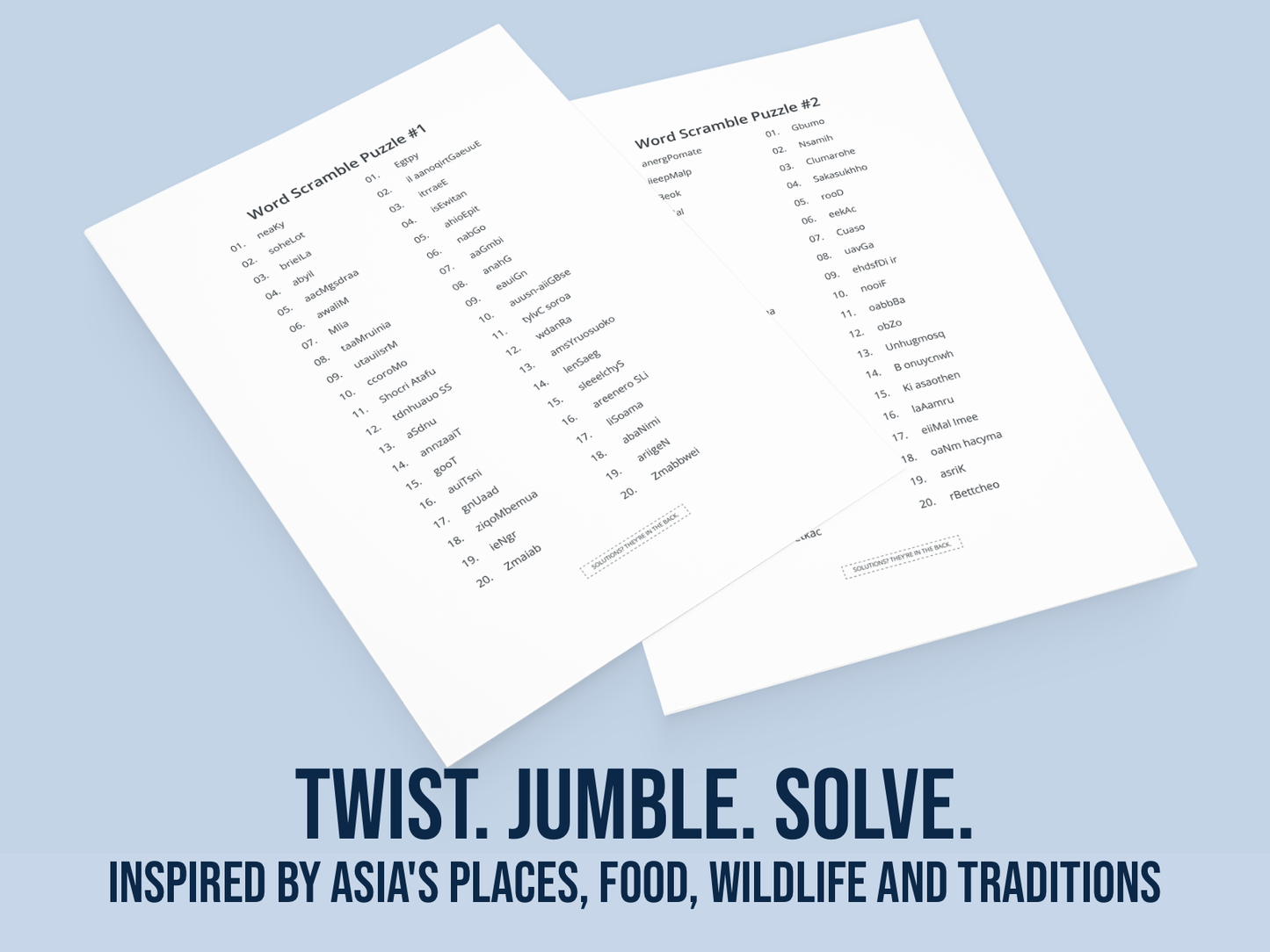 Word Scramble | Lively Africa | French Notes Pack