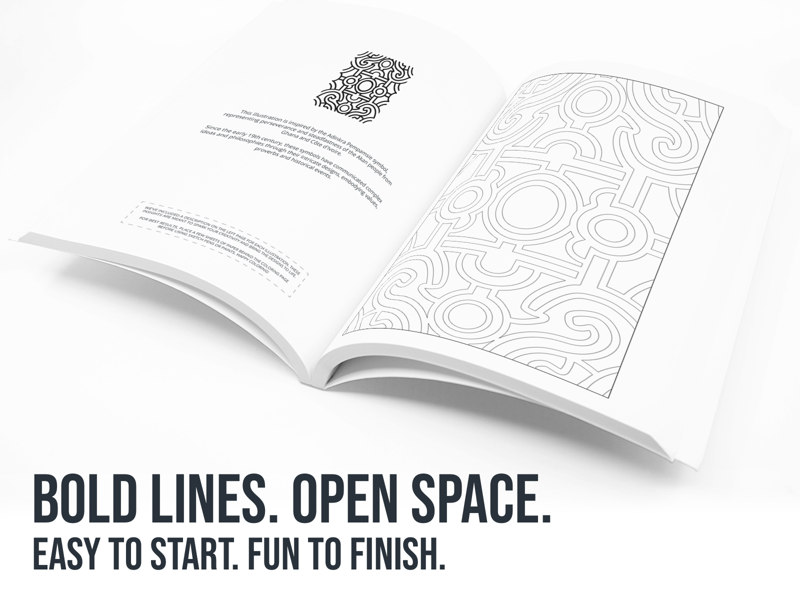 Open book with black and white patterns on a white background with text Bold Lines, Open Space.