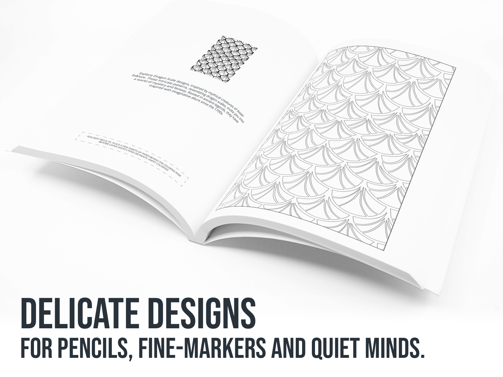 Open book with an asian themed pattern with the text "Delicate Designs in black".