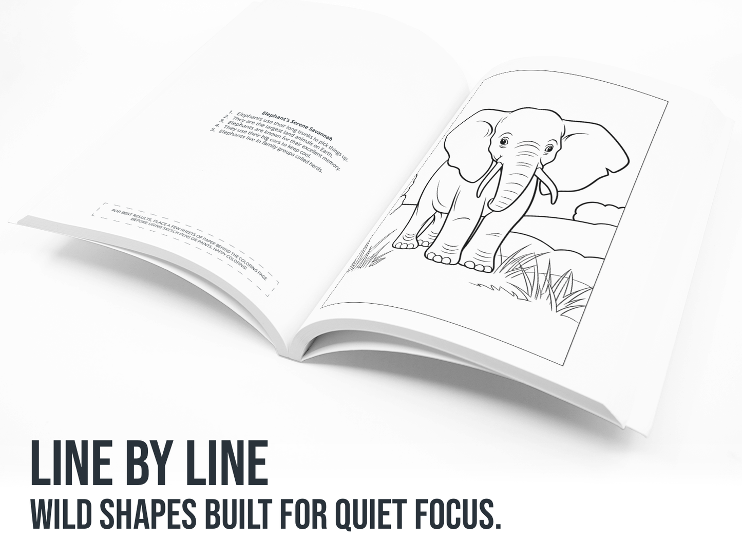 Open coloring book with an elephant illustration on a white background