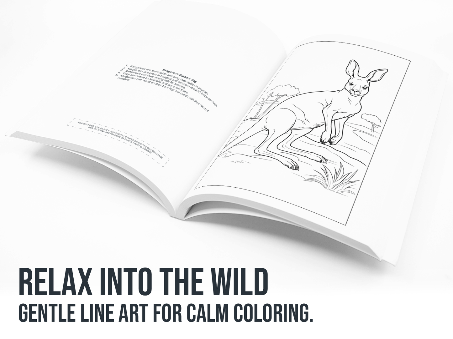 Open book with a kangaroo illustration on a white background