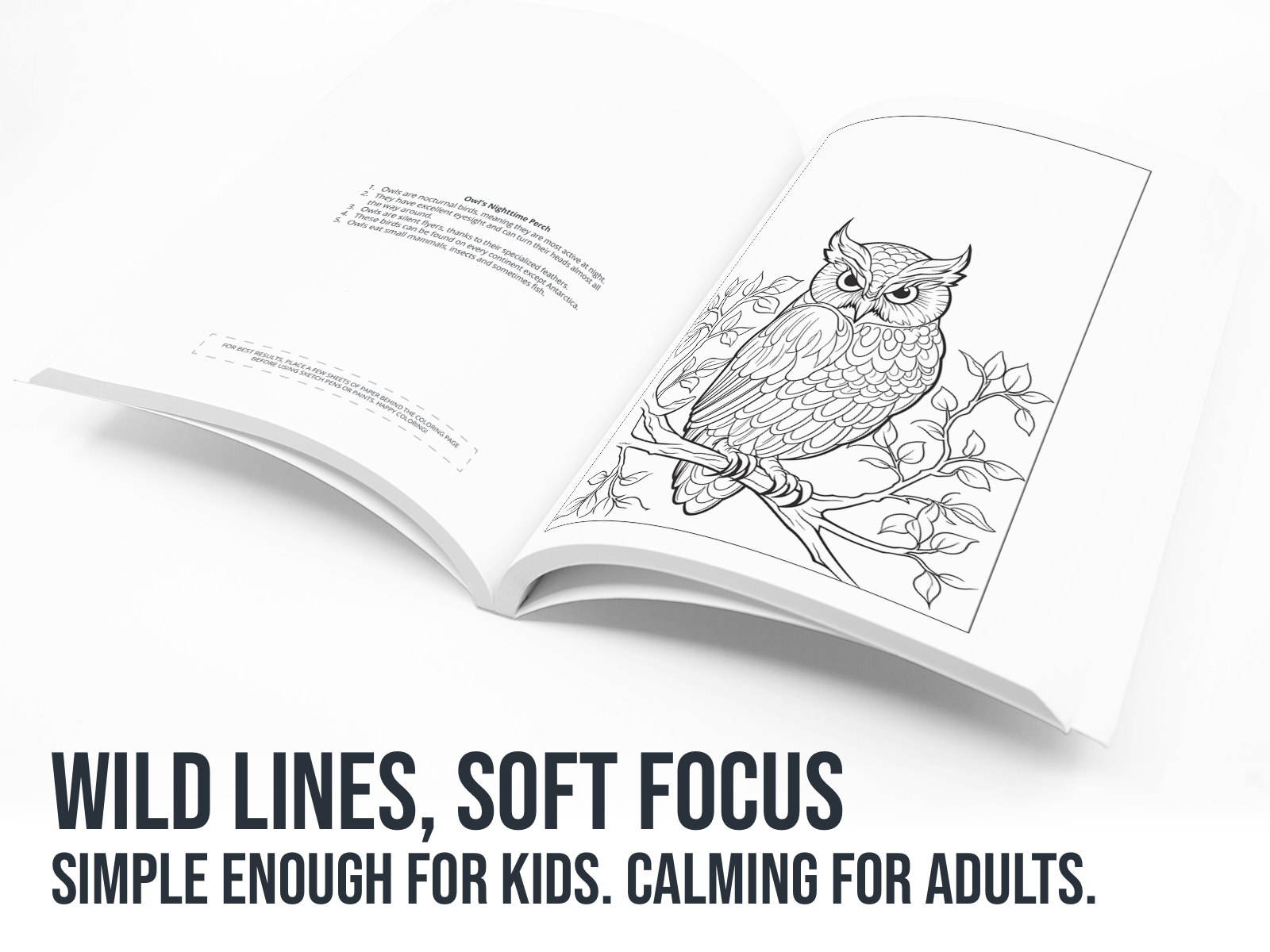 Open coloring book with an owl illustration on a white background